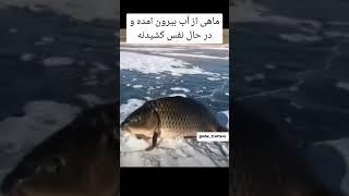 وقتی طبیعت داره برعکس میشه #طبیعت #ترسناک #تئوری #عجیب #عجایب_جهان #یوتیوب_فارسی #انسان #دانستنی