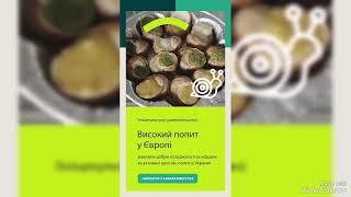 Равлики "Навігатор з аквафермерства"