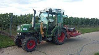 Mulchen mit Fendt 208V l [1080p]