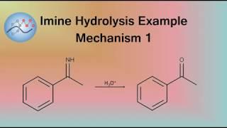 Imine Hydrolysis Example Mechanism 1 | Organic Chemistry