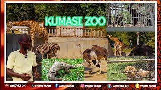 Animals Kingdom A Special Documentary Of Kumasi Zoo Part 2