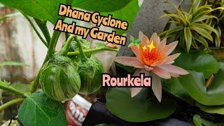 Dana Cyclone & My Garden  || Rourkela