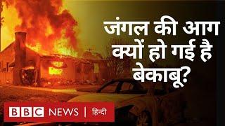 Wildfire: लॉस एंजेलिस में क्यों धधकी ऐसी आग, जिसे बुझा पाना होता जा रहा है मुश्किल- Explained