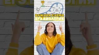 энергия #биологияегэ #биология #жаннаказанская #умскул