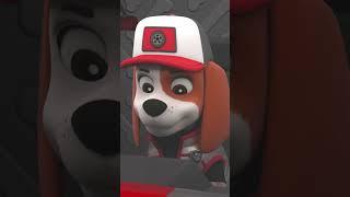 Кученцата с големия камион спасяват сателит, паднал се от Космоса! #PAWPatrol #Shorts Bulgarian