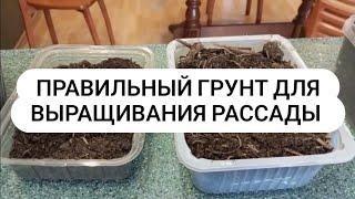 Лучший плодородный грунт для рассады