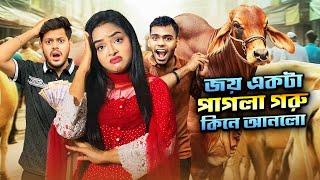 জয় একটা পাগলা গরু কিনে আনলো | QURBANI VLOG | Borna Hossain | Rakib Hossain