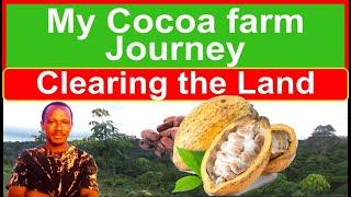 How to start a cocoa farm