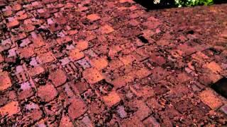 Roofing 101: When do I change my roof?