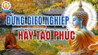 Phật Dạy Sống Đừng Tạo Nghiệp Cho Mình - Sống Tốt Sẽ Nhận Quả Báo Tốt