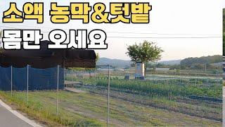 [no.356] 매매완료/안성토지.  1억대로 농막과 텃밭 모두 소유할 수 있는 기회. 성토,수도,전기 다 되어있어요 ~ 몸만오세요~ 5도2촌의 최적지 ! 중부고속도로 5분 !!