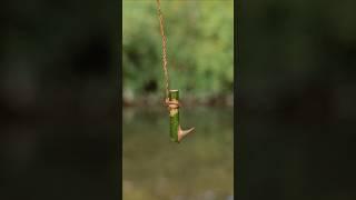 Making survival fishing line and hook with natural materials