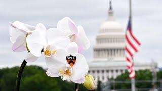 Princeton School of Public and International Affairs - SPIA in D.C.