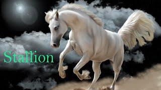 Two Steps From Hell : Stallion (extended) - Ra Vaztu | Sirian Music Channel