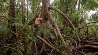 Rolex and National Geographic Perpetual Planet Amazon Expedition: At the River Mouth