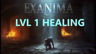 Healing Potion/Salve Exanima lvl 1