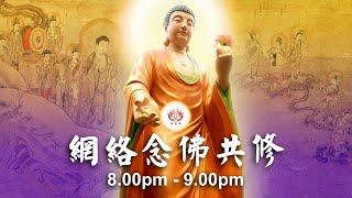 【同步】净土宗网络念佛【第1760天】+ 开示视频《念佛尊贵》 11-01-2025 Online Recitation Session（晚上8pm-9pm (GMT+8))【打开CC字幕】