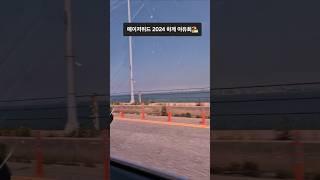 메이저위드 2024 하계야유회 1탄