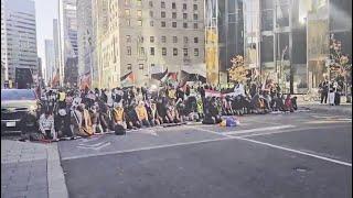 LILLEY UNLEASHED:  Protests need to be shut down and stop glorifying Hamas leaders