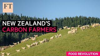 Carbon farming: fighting New Zealand’s agricultural emissions | FT Food Revolution