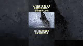 3/3 三文鱼为了繁衍后代，经历万难从海洋到河流，最终筋疲力尽而死！ #鱼 #三文鱼 #salmon