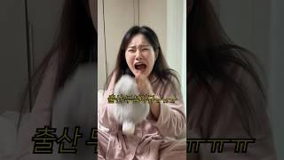 남편한테 출산의 고통 설명해주는 임산부 ㅎㄷㄷ