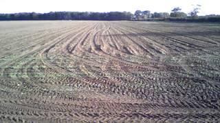 Maris Otter Malting Barley Drilling