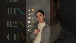 какой у тебя уровень английского? #english