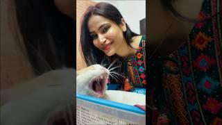 Mini Vlog:Eid MubarakMera Eid ka din aisa raha #eidi #eid2023 #shorts