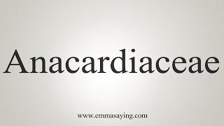 How To Say Anacardiaceae