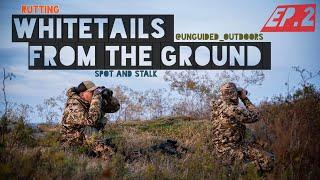 SPOT and STALK - Bowhunting Whitetails