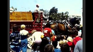 [super8] 1980s Budweiser Clydesdales - Southern California, USA