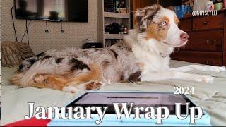 January Wrap Up