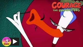 Courage the Cowardly Dog | Quack Doctor | Cartoon Network