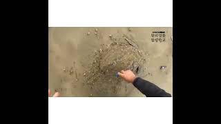 성품훈련을 통해 이기는자가 되라 1