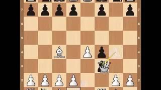 7 افتتاحيات شرسة chess opening