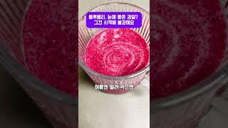블루베리, 눈에 좋은 과일? 그건 시작에 불과해요 #눈건강 #냉동과일 #슈퍼푸드