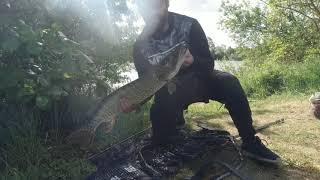 Deadbaiting a lake for pike. 6 caught today Strike4pike #6