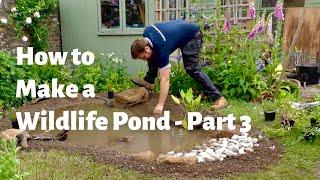 How to Make the Ultimate Wildlife Pond - Part 3 - Planting the Pond