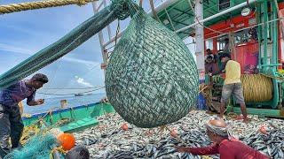 Great TONS Of Fish Caught In One Trawl Net Haul! | Trawler Net Fishing | EP-04