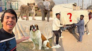India Sy Aya Big Surprise 