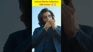 Animal movie worldwide Collection 600 crores #shorts #ytshorts