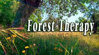 Healing Frequency Forest Therapy  Begin Your Day with POSITIVE MORNING VIBRATIONS  Nature Sounds