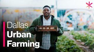 How Urban Farming Saved a Dallas Community