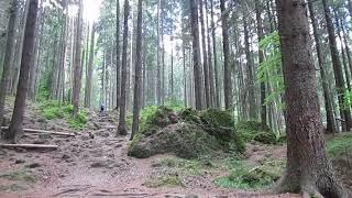 Traseu: Staţiunea Durău – Poiana Viezuri – Cascada Duruitoarea