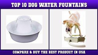 Top 10 Dog Water Fountains to buy in USA 2021 | Price & Review