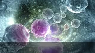 RNA Polymerase: The Master Executor