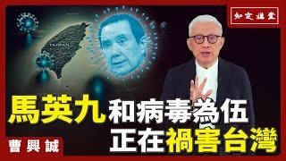 馬英九和病毒為伍，正在禍害臺灣【知定講堂 曹興誠】EP90