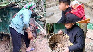 The foster mother built a chicken coop for the boy who was always sad and missed his little sister.