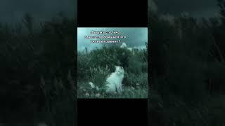 Ютуб,не блокай,уже 4 видос выкладываю #реки #animeshnik #shorts